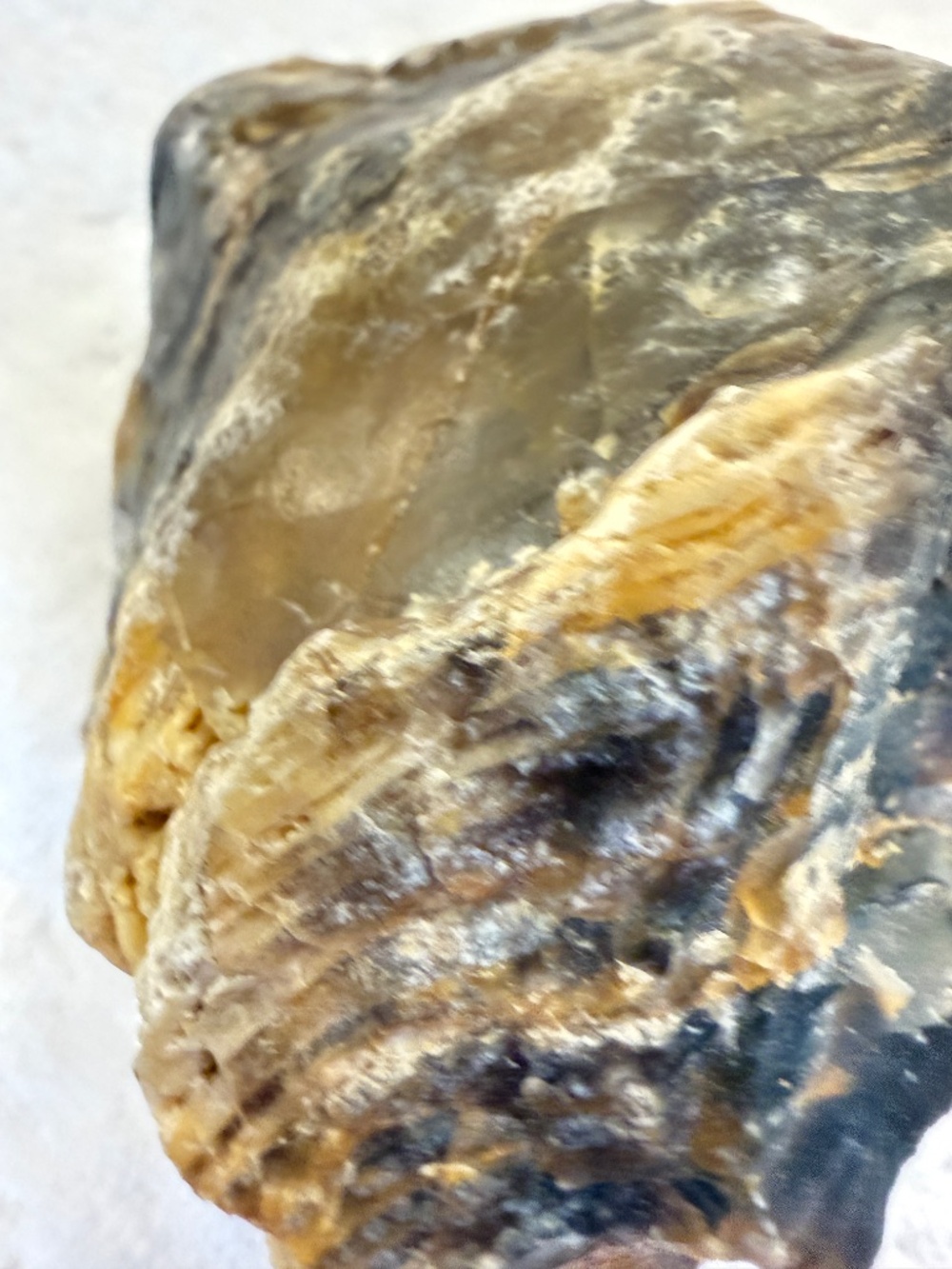 Where Is This From? Big Specimen of Petrified Wood - Picture 5 of 10